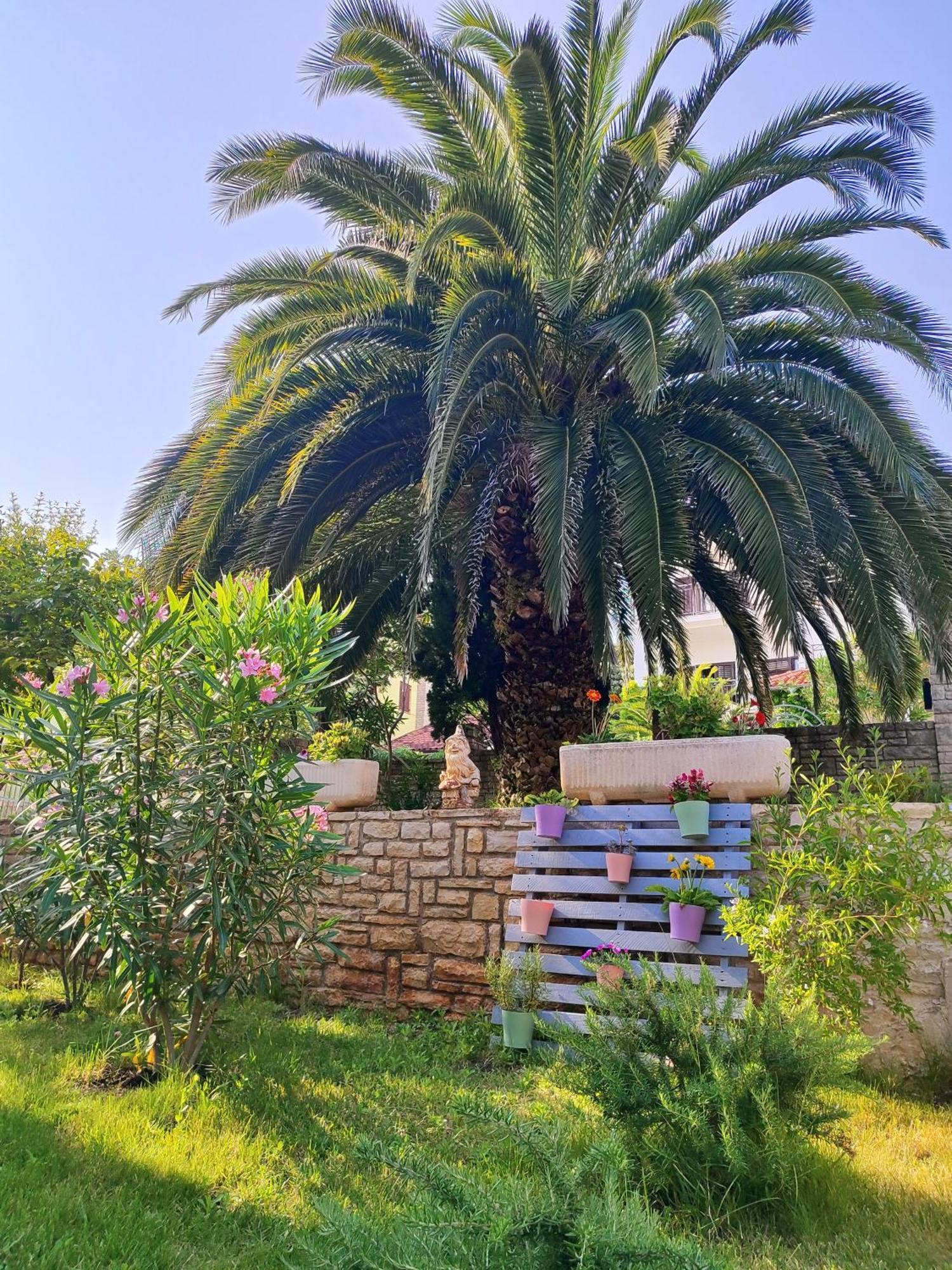 Apartment Emily, 6 2 Guests, Newly Refurbished Pula